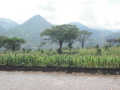 Flood recession farming, Marakwet