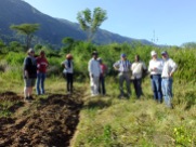 workshop participants observing a field at Arror